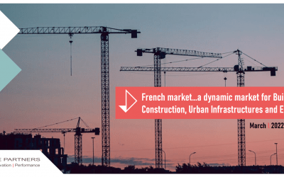 Investigate the potential of your solution on the French market.