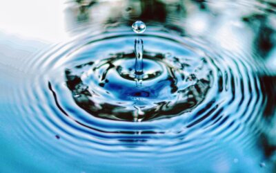 Impulse Partners se positionne sur la thématique de la gestion de l’eau